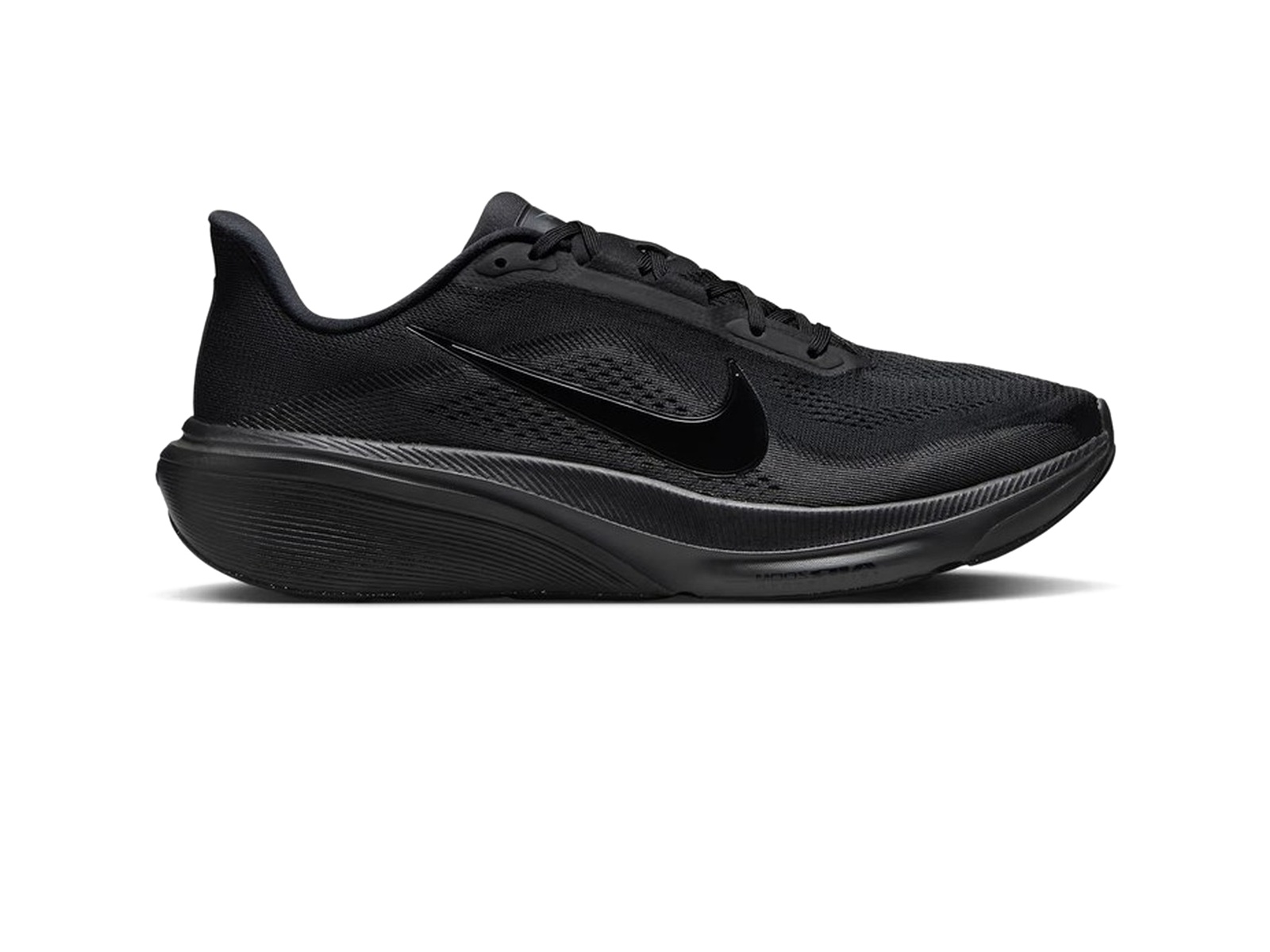 Nike 페가수스 42